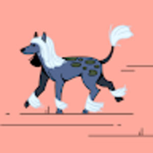 Meet your Posher, Ziyad